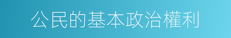 公民的基本政治權利的同義詞