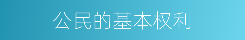 公民的基本权利的同义词