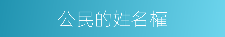 公民的姓名權的同義詞