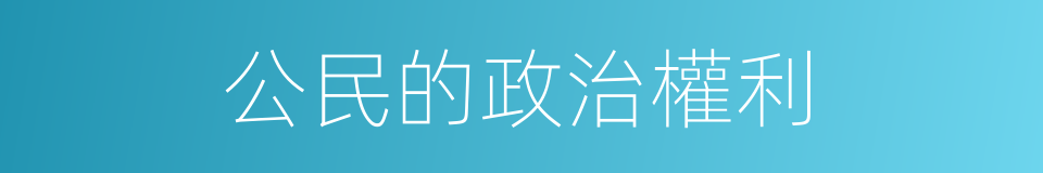 公民的政治權利的同義詞