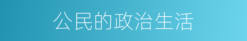 公民的政治生活的同义词