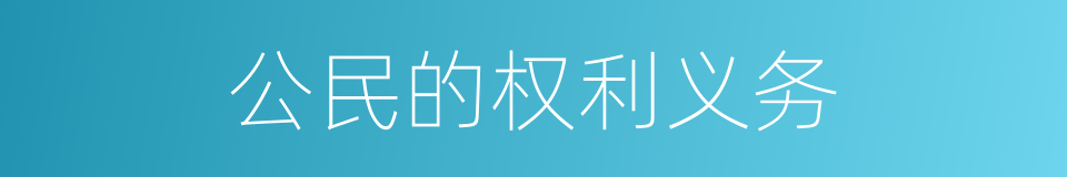 公民的权利义务的同义词