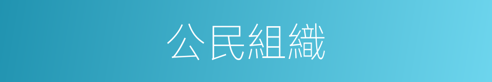 公民組織的同義詞