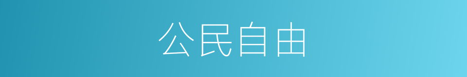 公民自由的同义词