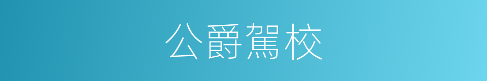 公爵駕校的同義詞