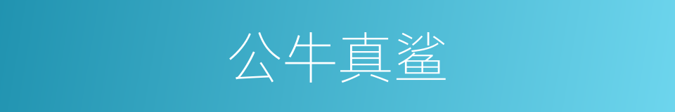 公牛真鲨的同义词