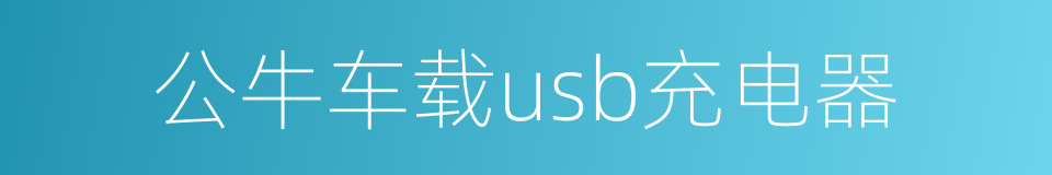 公牛车载usb充电器的同义词