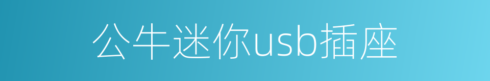 公牛迷你usb插座的同义词