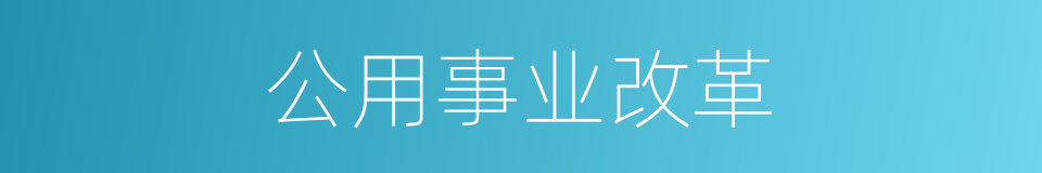 公用事业改革的同义词