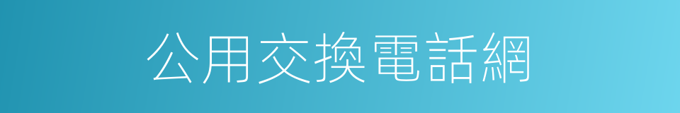 公用交換電話網的同義詞
