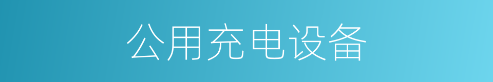 公用充电设备的同义词