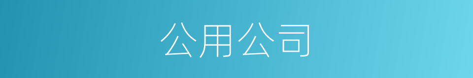 公用公司的同义词