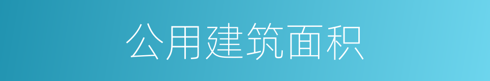 公用建筑面积的同义词