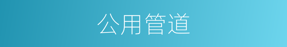公用管道的同义词
