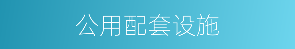 公用配套设施的同义词