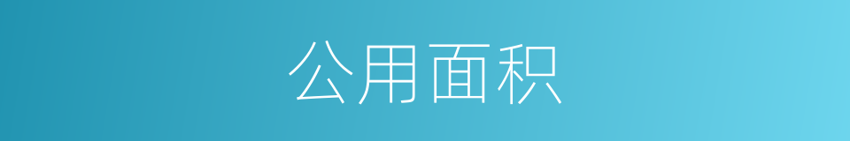 公用面积的同义词