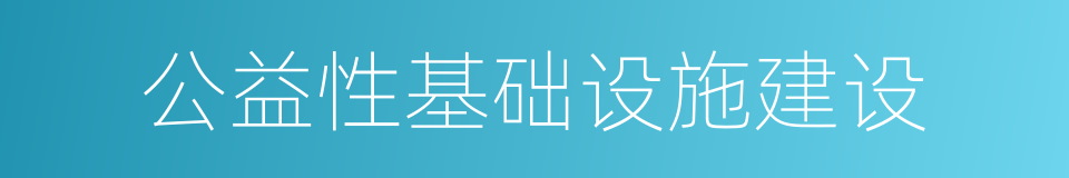 公益性基础设施建设的同义词