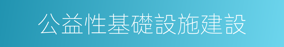 公益性基礎設施建設的同義詞