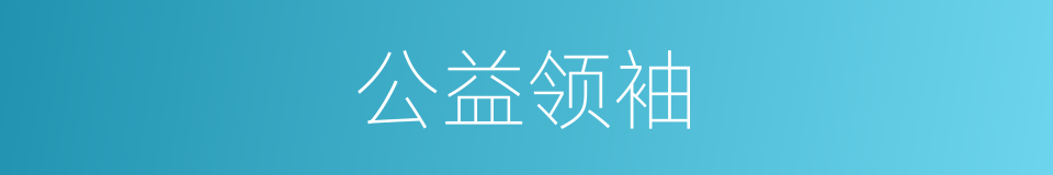 公益领袖的同义词