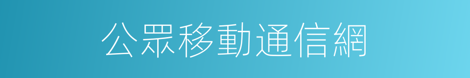 公眾移動通信網的同義詞