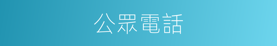 公眾電話的同義詞