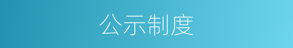 公示制度的同义词