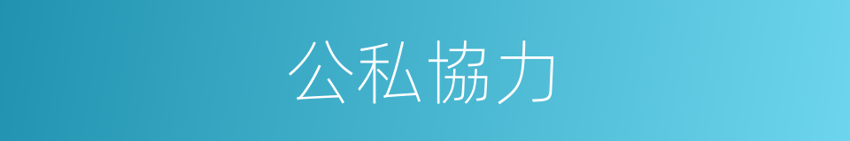 公私協力的同義詞