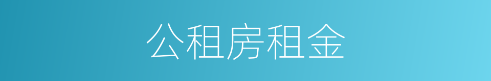 公租房租金的同义词