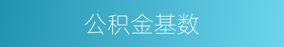 公积金基数的同义词