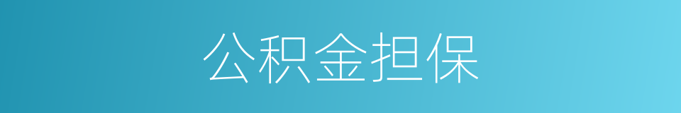 公积金担保的同义词