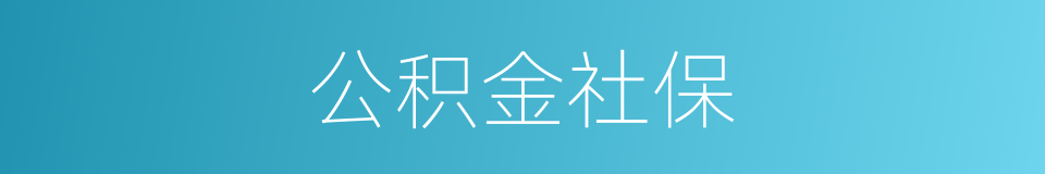 公积金社保的同义词