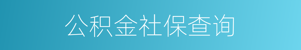 公积金社保查询的同义词