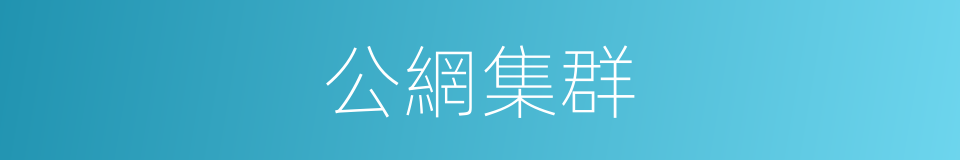 公網集群的同義詞