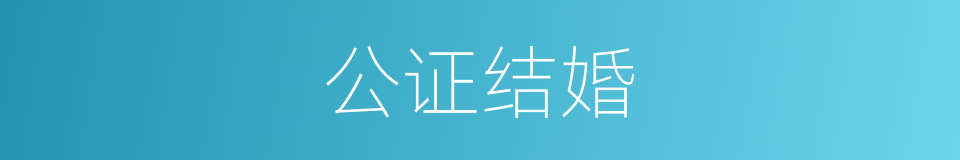 公证结婚的同义词
