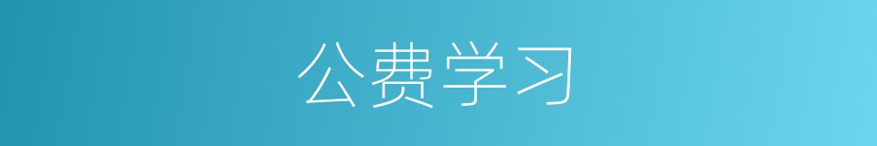 公费学习的同义词
