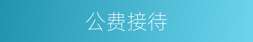 公费接待的同义词