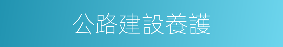公路建設養護的同義詞
