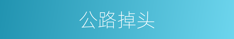 公路掉头的同义词
