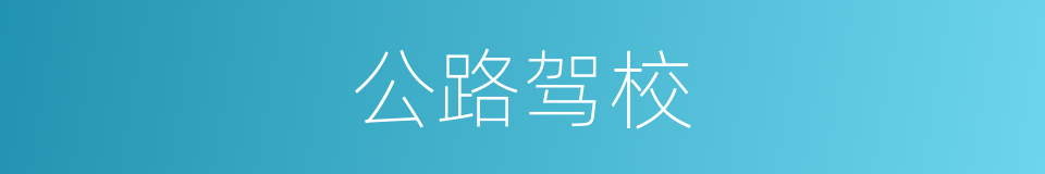 公路驾校的同义词