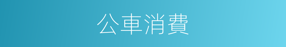 公車消費的同義詞