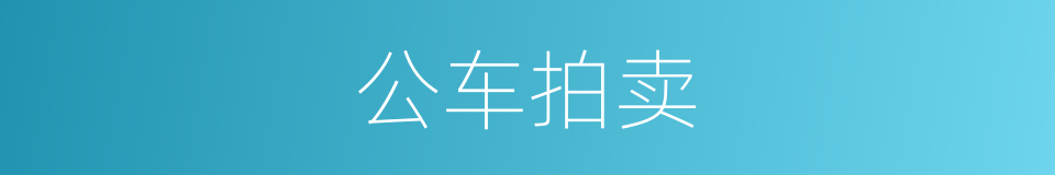 公车拍卖的同义词