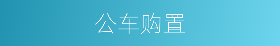 公车购置的同义词