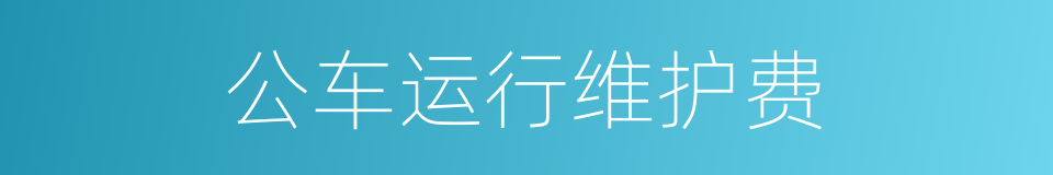 公车运行维护费的同义词