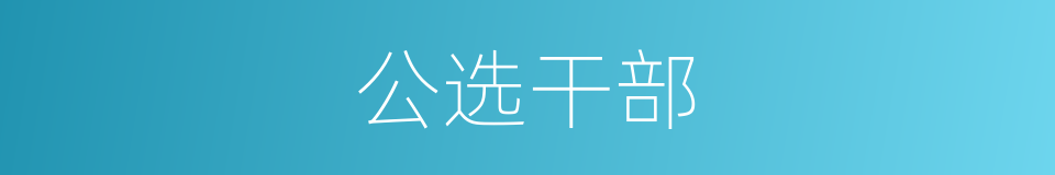 公选干部的同义词