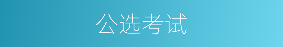 公选考试的同义词