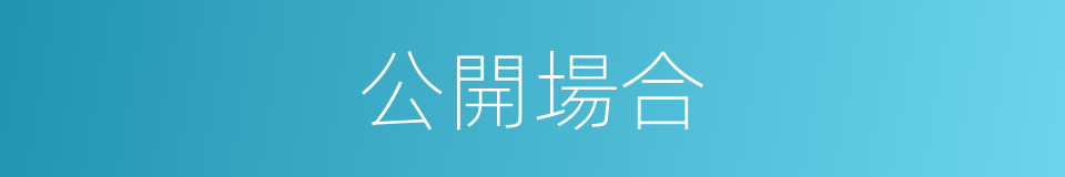 公開場合的同義詞