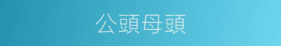 公頭母頭的同義詞