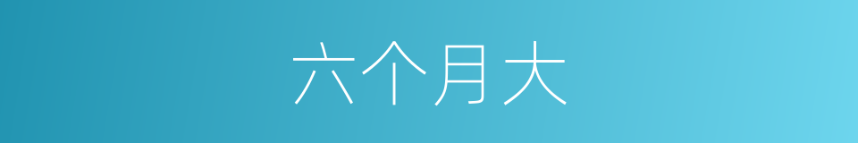 六个月大的同义词