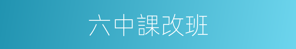 六中課改班的同義詞
