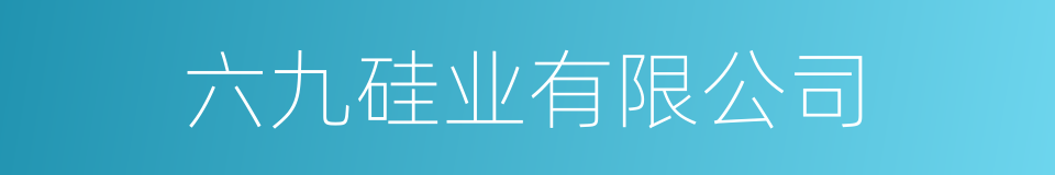 六九硅业有限公司的同义词
